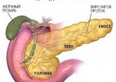 Гипо- и гиперфункция поджелудочной железы