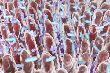 живые бактерии человека