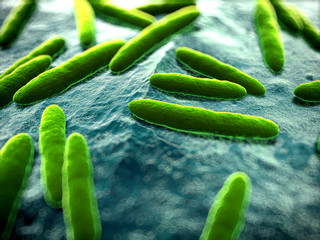 кишечные микробы
