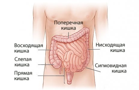 область раздражения кишечника